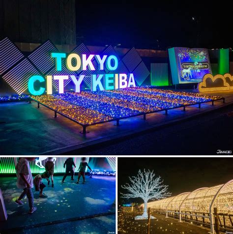 tokyo mega illumination photos